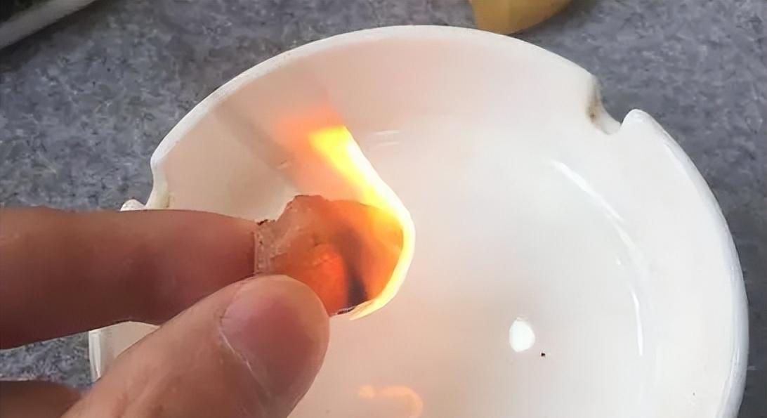 4100万年前的琥珀化石，两只长腿蝇在交配，尴尬瞬...