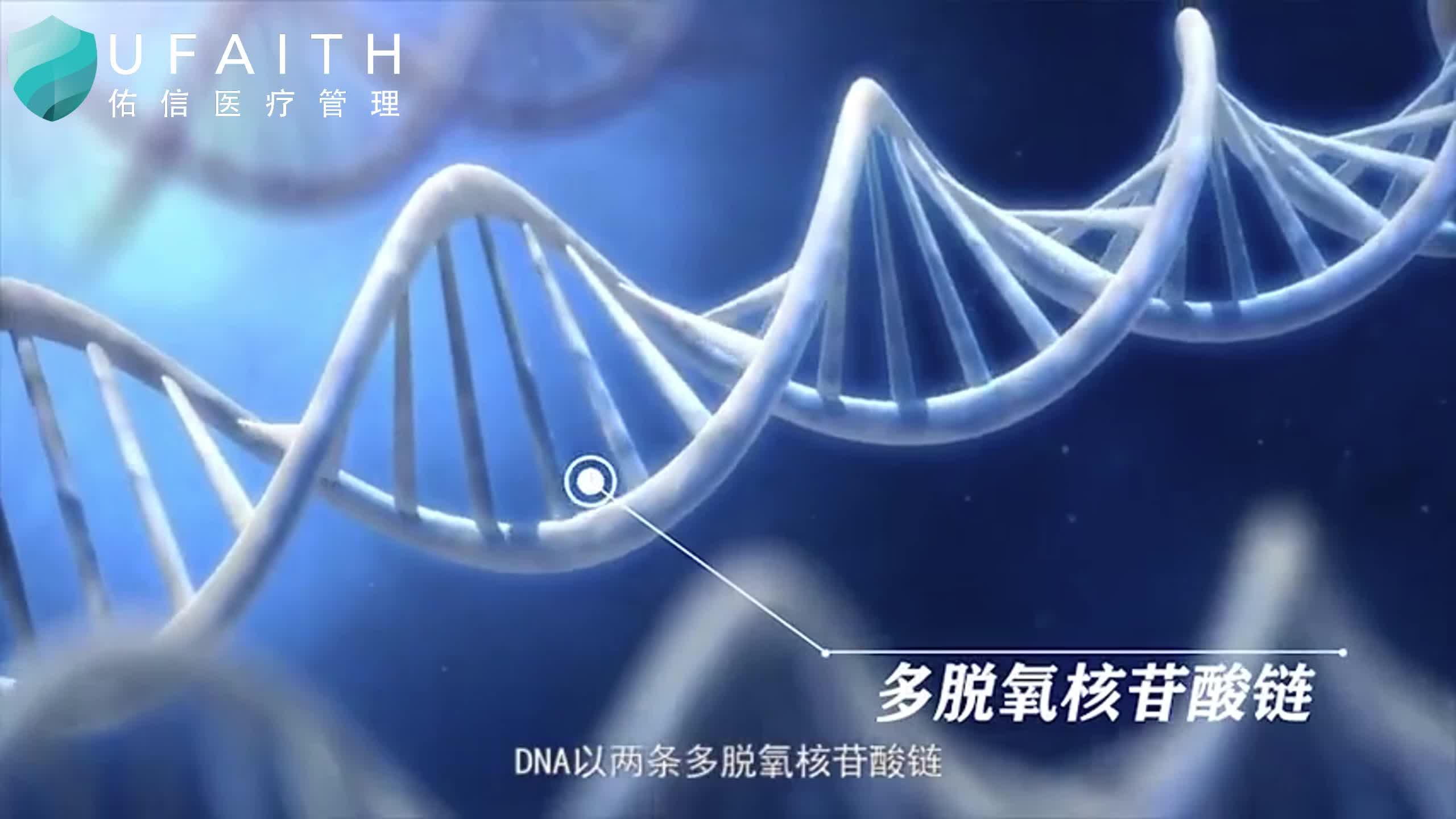 基因检测能做什么?