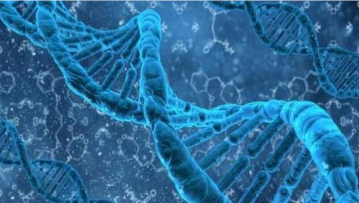 大自然的进化为什么不允许生物近亲繁殖？...