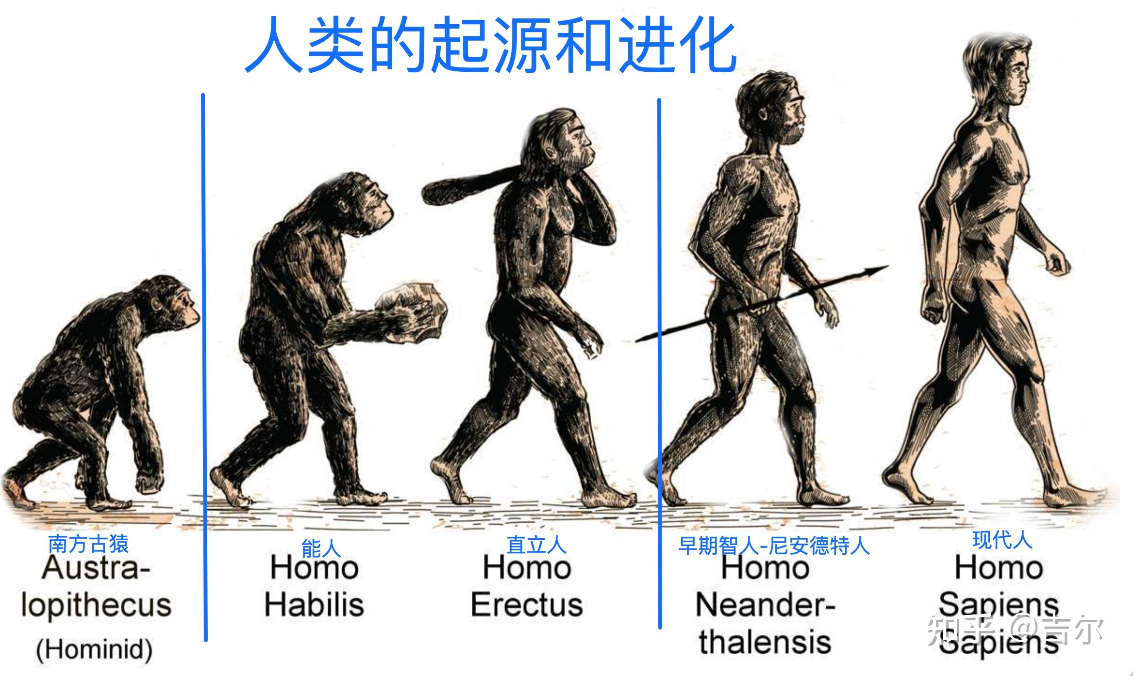 人类是被设计出来的？这种观点为何如此流行？...