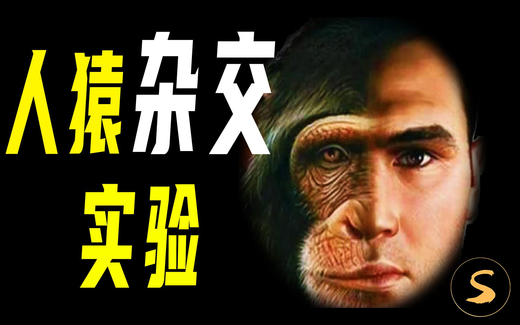 如何看待人类给动物杂交的问题？不涉及到伦理道德问题...