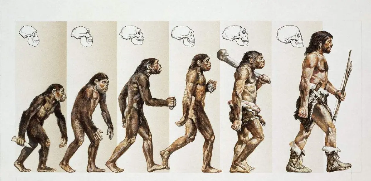 人类真的停止进化了吗？这些秘密你绝对想知道！