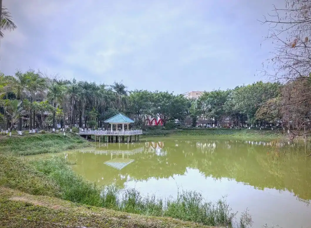 惊人发现：园洲沙头村50_具体位置在哪里_高德地图导航教程