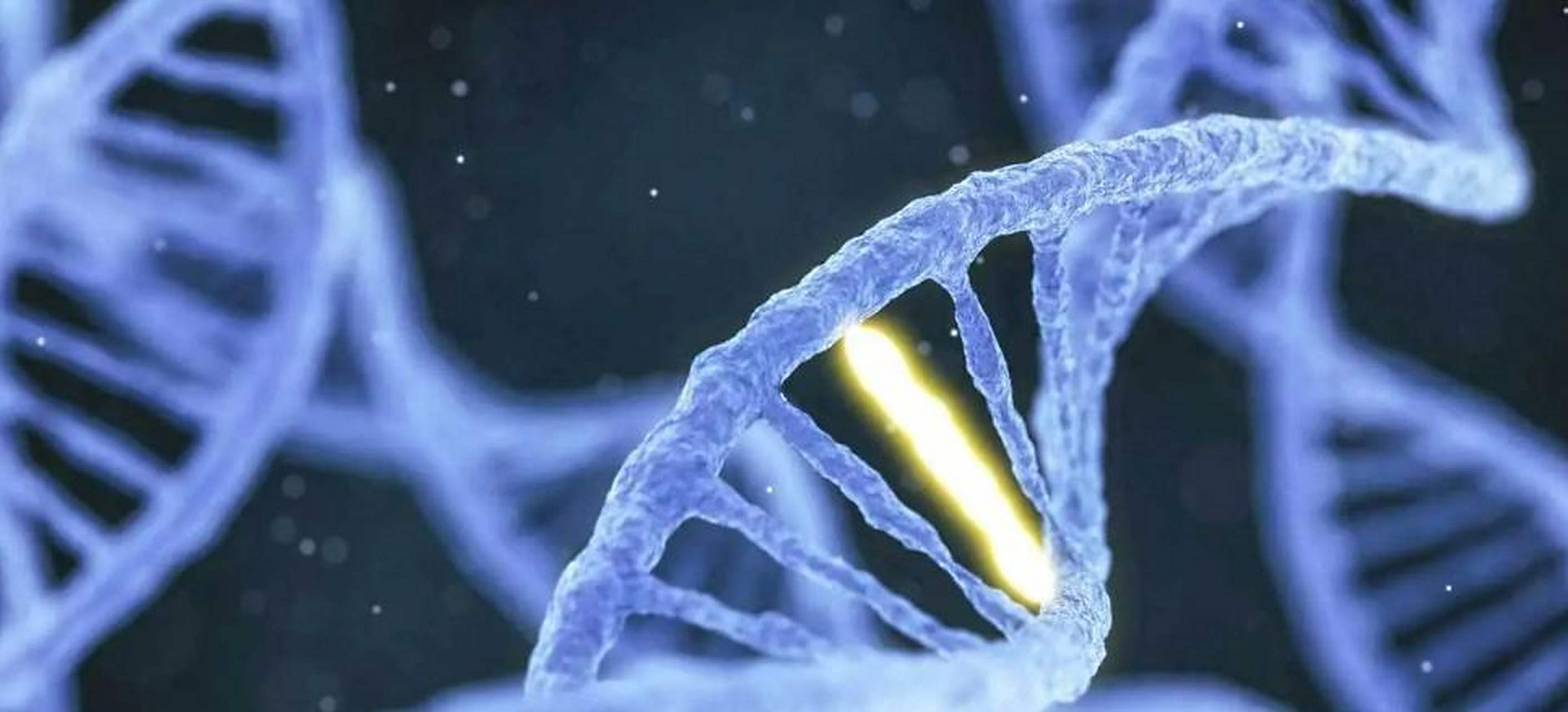 生物是进化的，如果人类不断挥动双手，百万年就会进化...