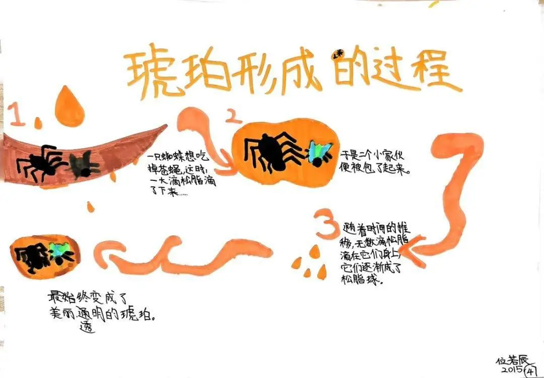 为什么史前生物会被树脂包裹成琥珀？这些秘密你知道吗？