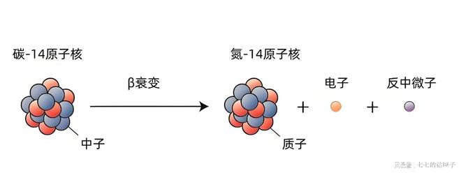 碳-14到底是什么？它是怎么帮我们测定年代的？