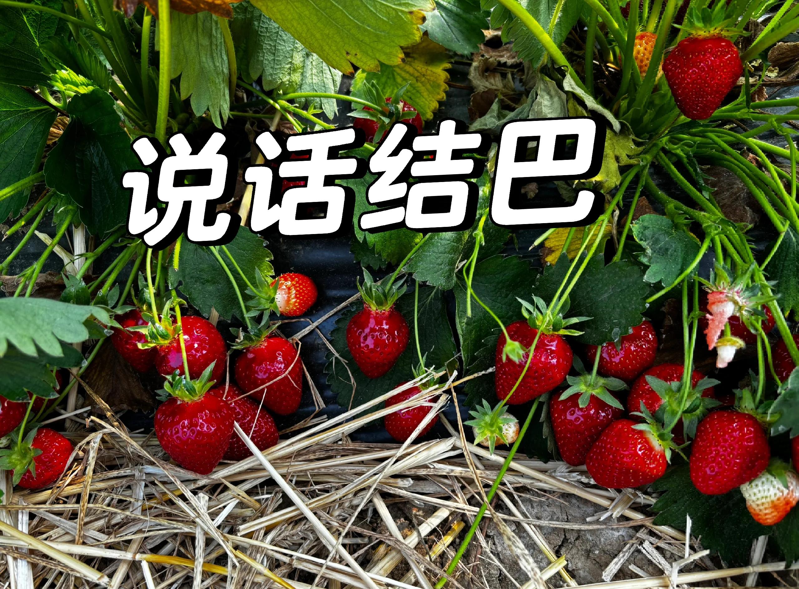 国人的标准英语情结为什么会变成邯郸学步?...