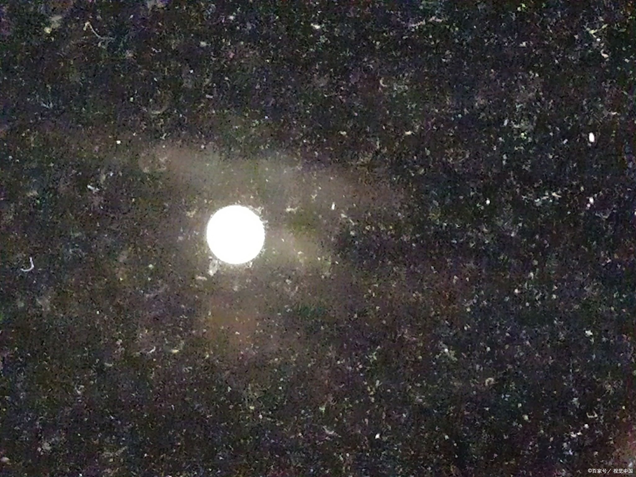 肉眼可见星星距离 星星光线传播时间