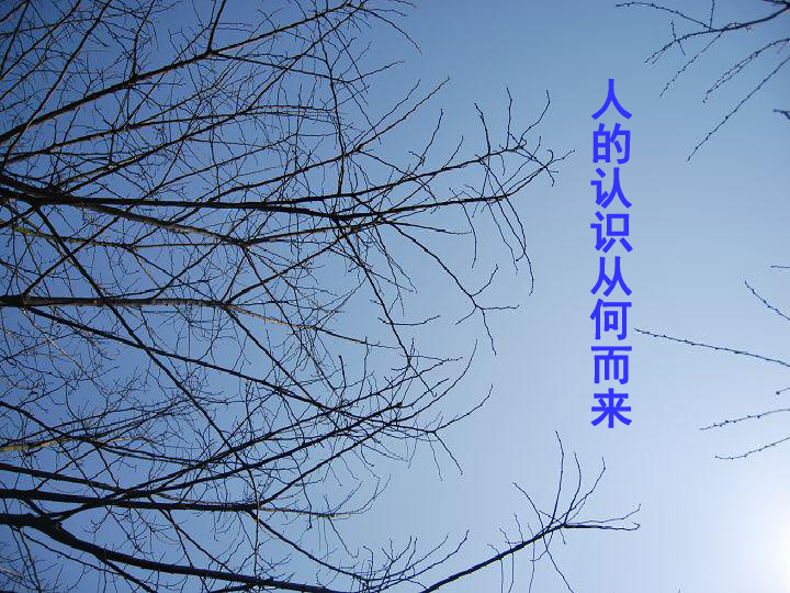 从进化论角度,为何我们一上网就判若两人?...