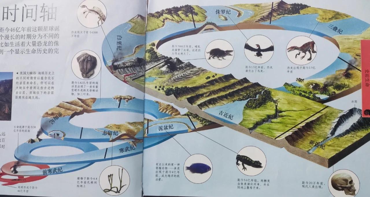 外星人消灭恐龙？将地球占为己有发展成人类？...
