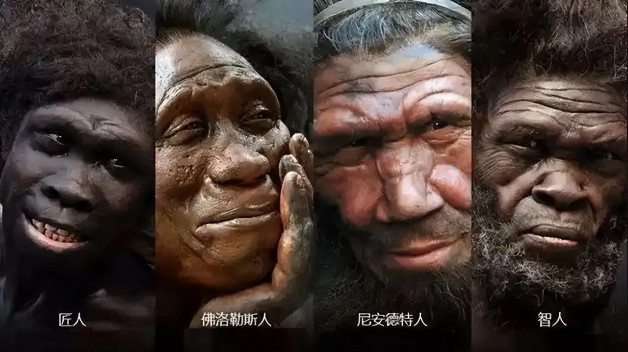 为什么尼安德特人灭绝了？真的是智人屠杀所致吗？