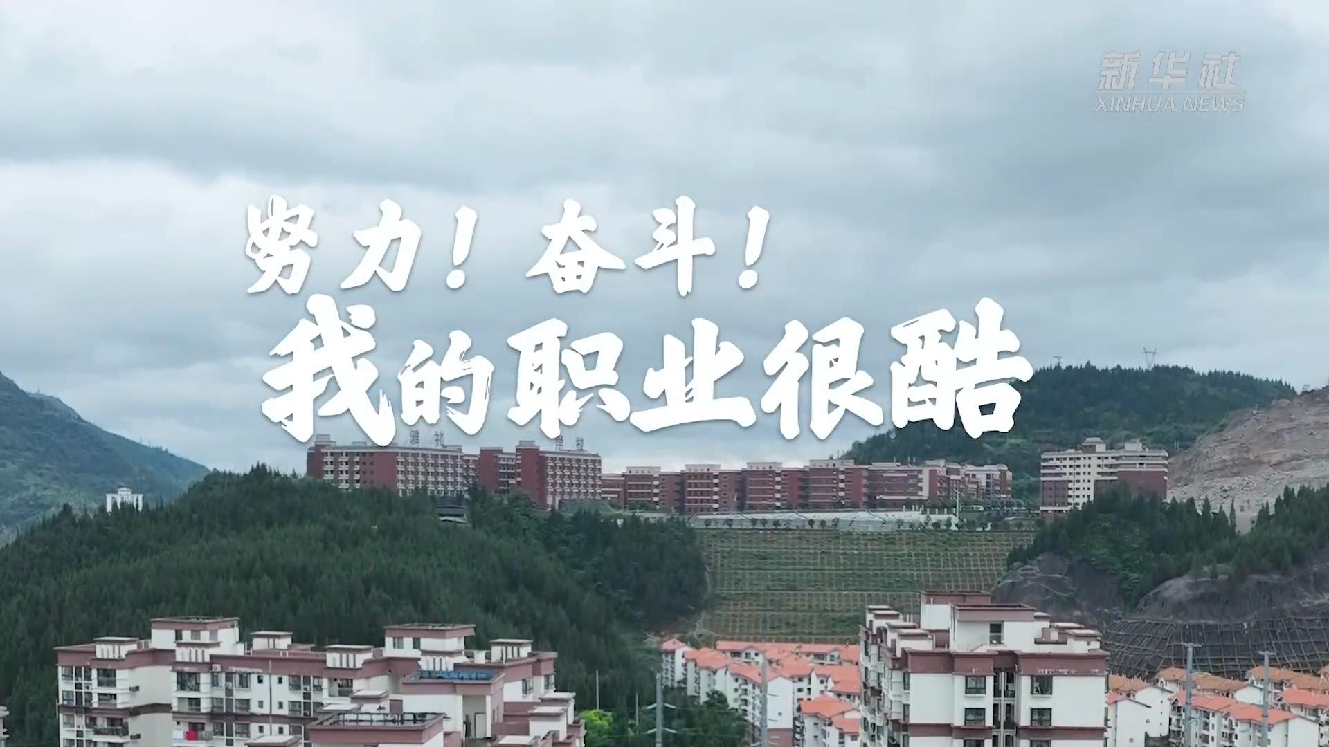 坚持与选择的意义 人生抉择如何影响我们