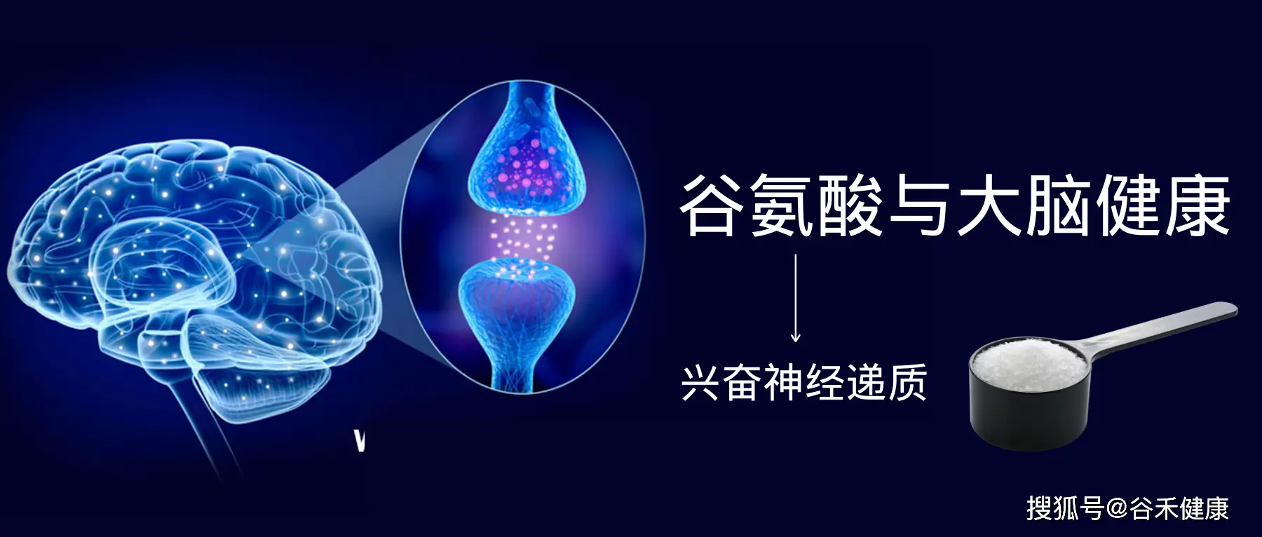 谷氨酸与大脑疾病 阿尔茨海默病症状与关怀