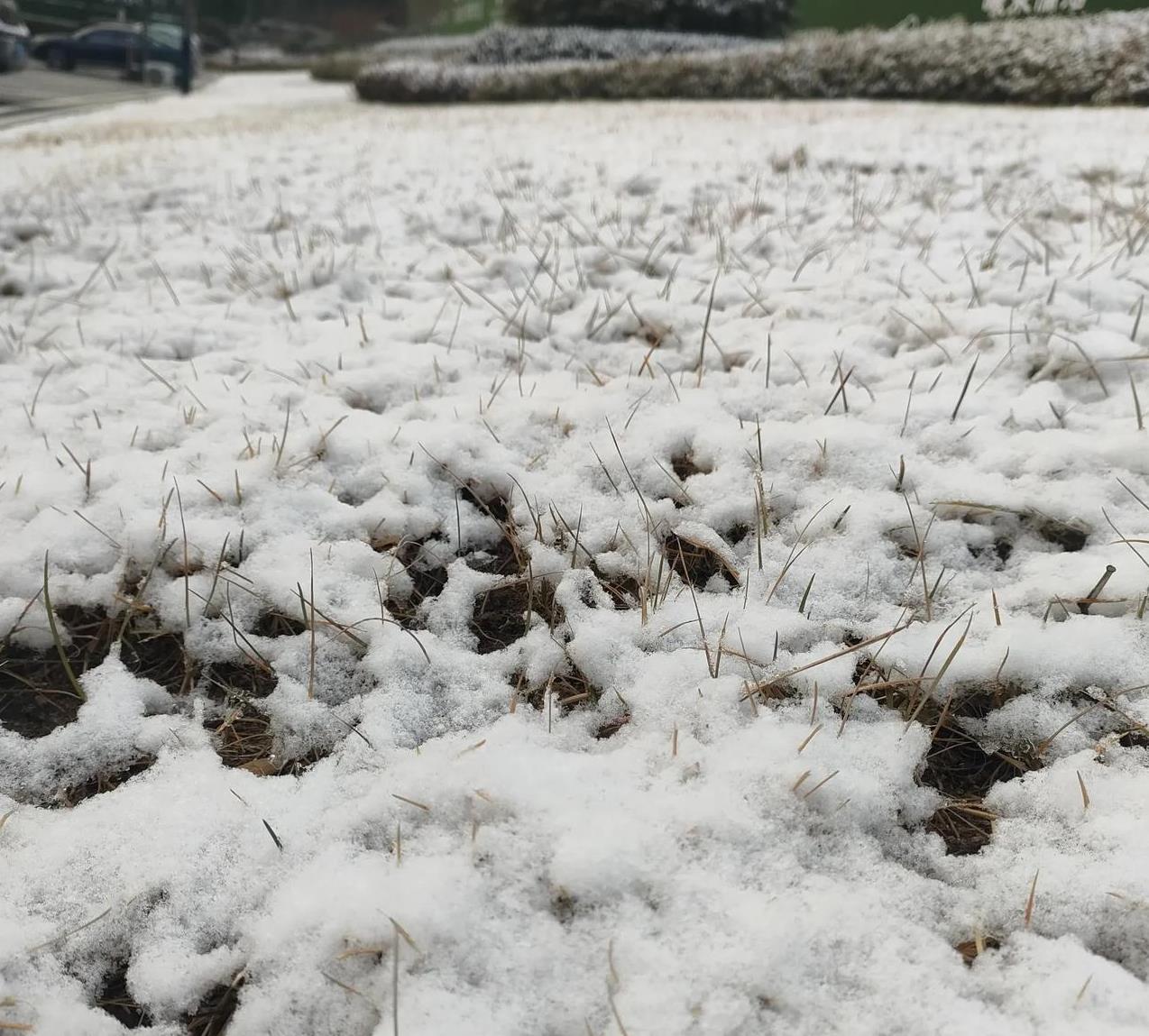 下雪真的能消灭病毒吗？这些你必须知道的真相！