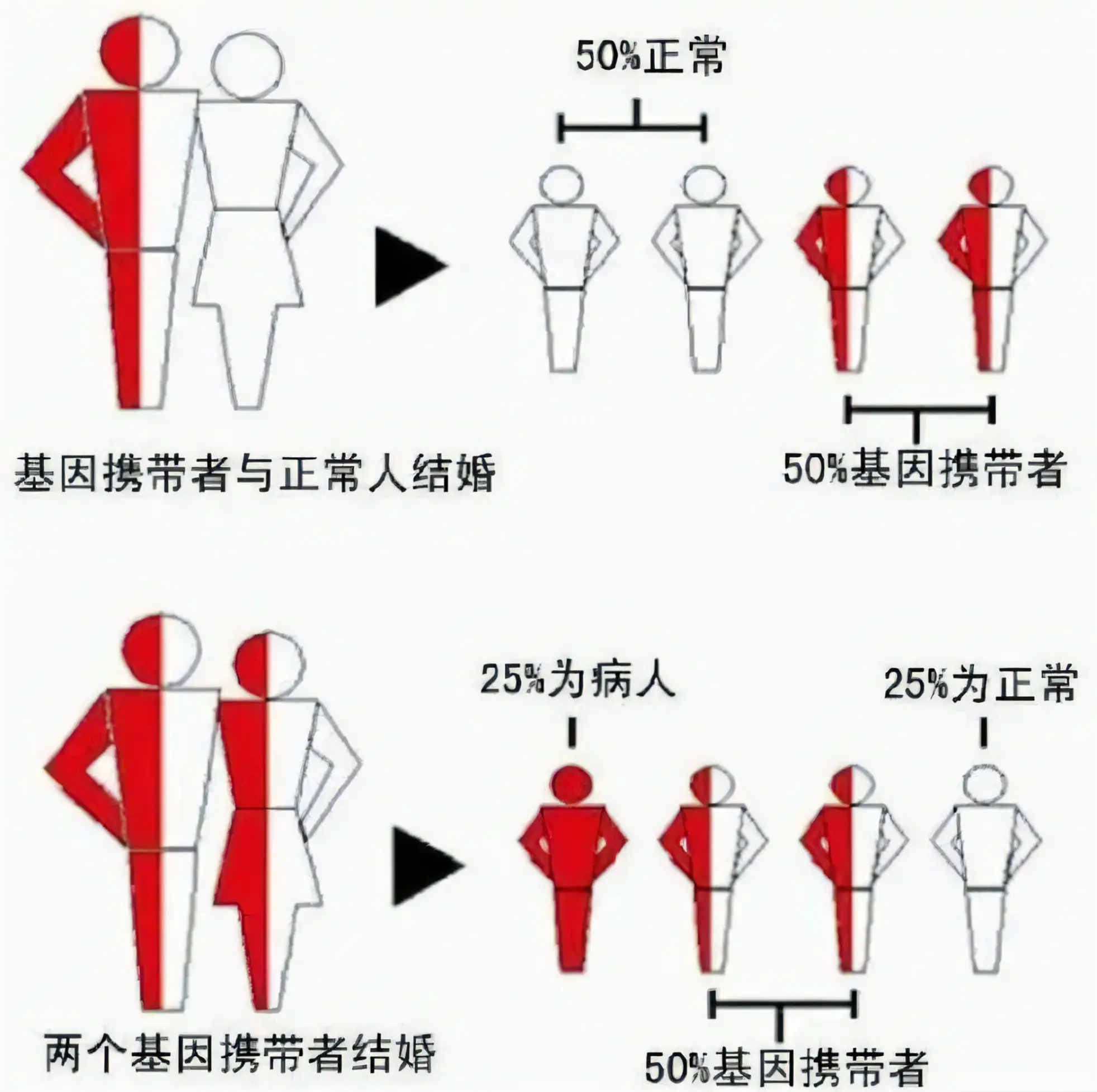 为什么人类一定要分男女？这背后的秘密你知道吗？