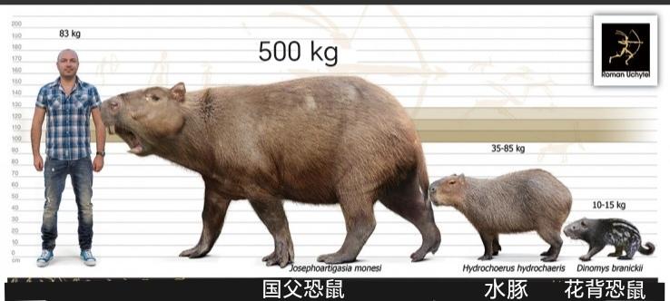 这种恐怖生物多次被人目击，是人类的生化实验，还是神...