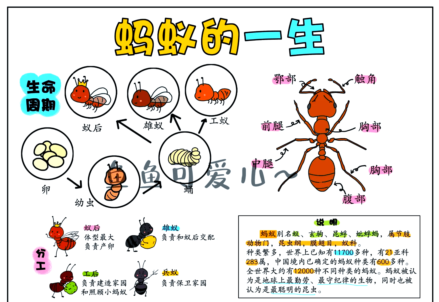 人类俯视蚂蚁，那高维生物也可以俯视人类，难道我们被...