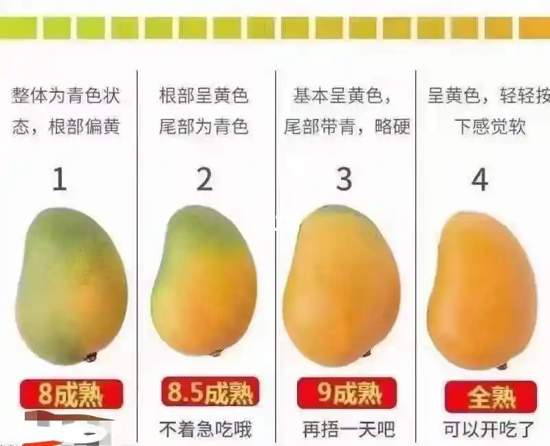 可约快餐：都市时间竞争与味觉经济的全新解读