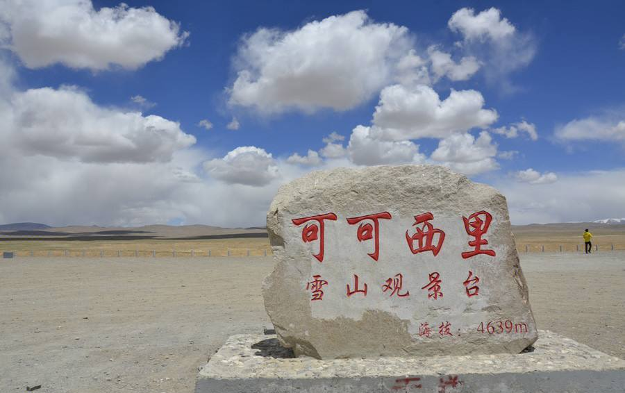 可可西里十大高原动物“明星”都有哪些?...
