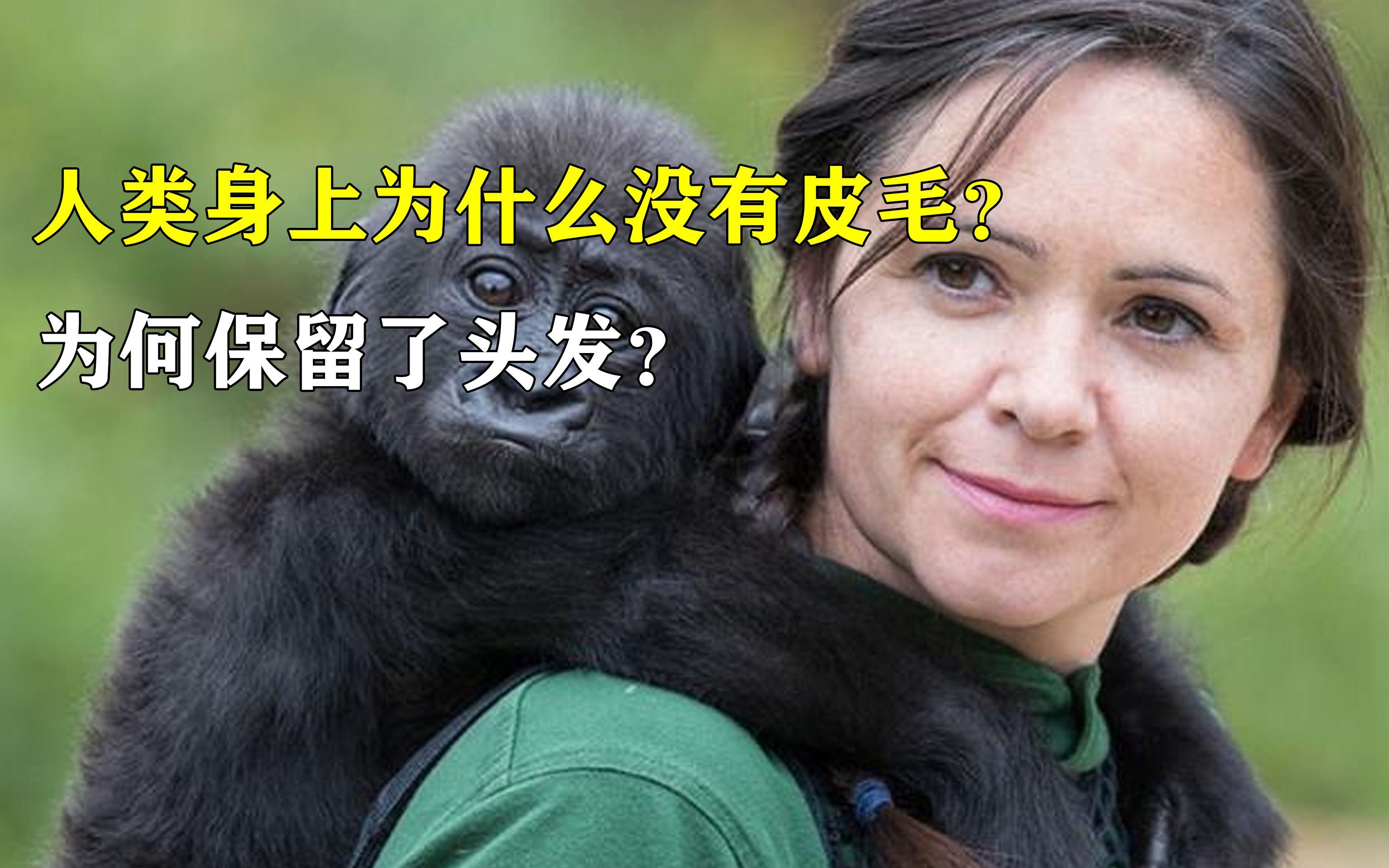 人类在什么时候褪去全身毛发？又为什么在一些特殊部位...