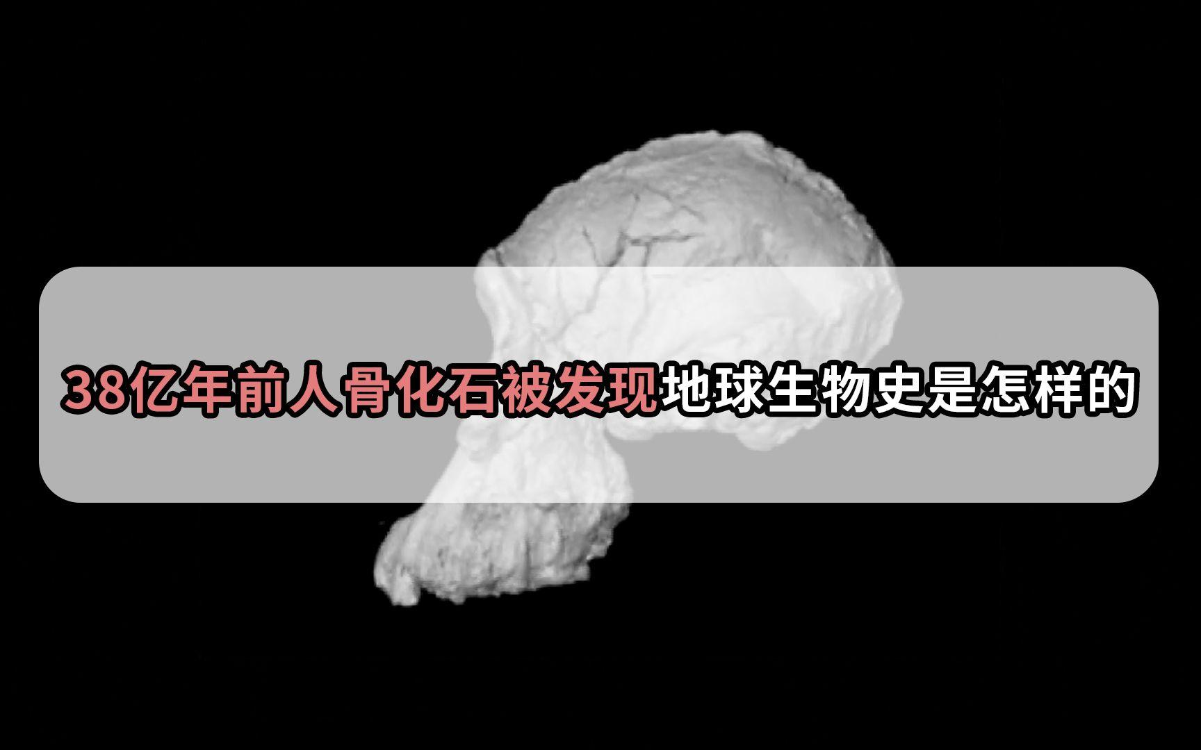 38亿年前的神秘骨骼化石是真的吗？史前文明到底存在吗？