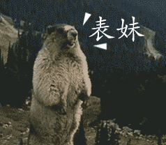 茜茜公主:为什么真实远比童话残忍?...