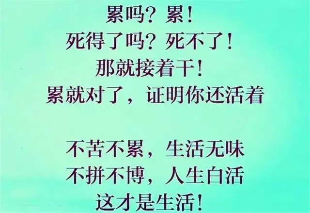 人生意义探讨 如何面对生存挑战与生命价值
