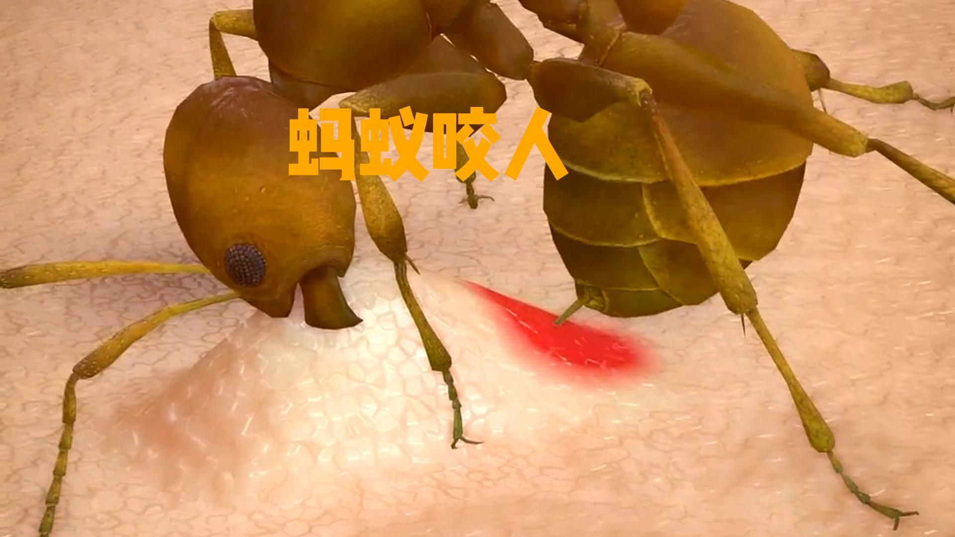 蚂蚁看人是什么感觉 高山仰止虚怀若谷是什么意思