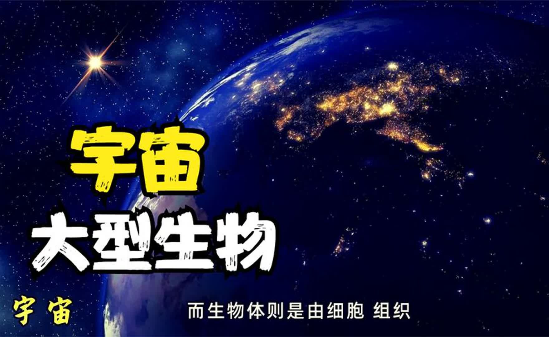 宇宙中可能存在比人类大一亿倍的生物吗？...