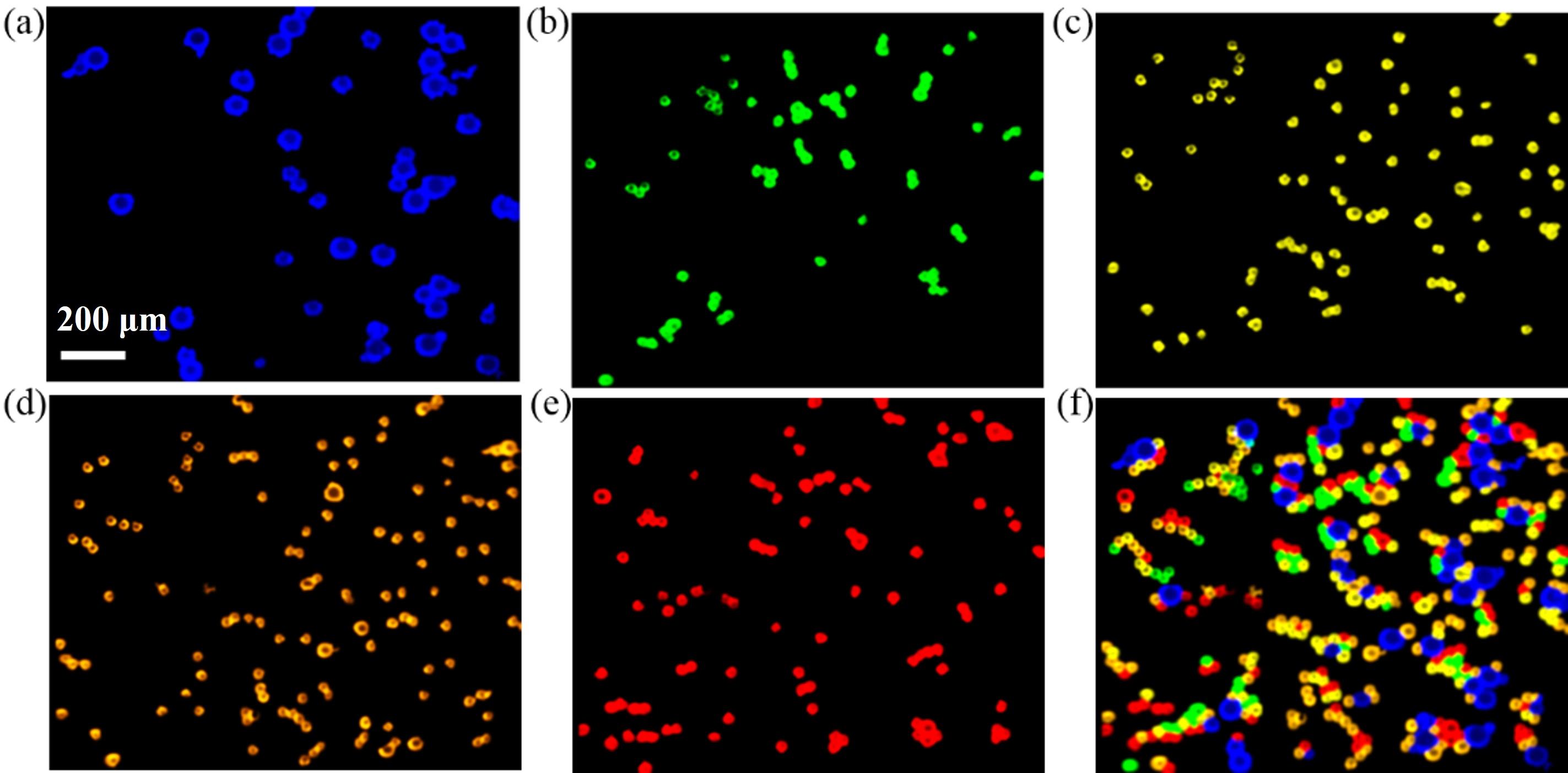 她死后，为什么她的细胞总重超过了100幢帝国大厦？...