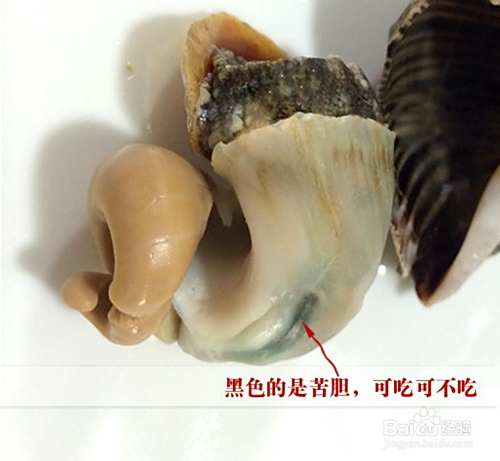 海螺肉哪些部位不能吃 海螺食用注意事项