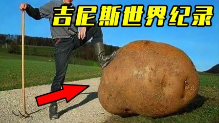 我们还缺怎样的博物馆 ?...