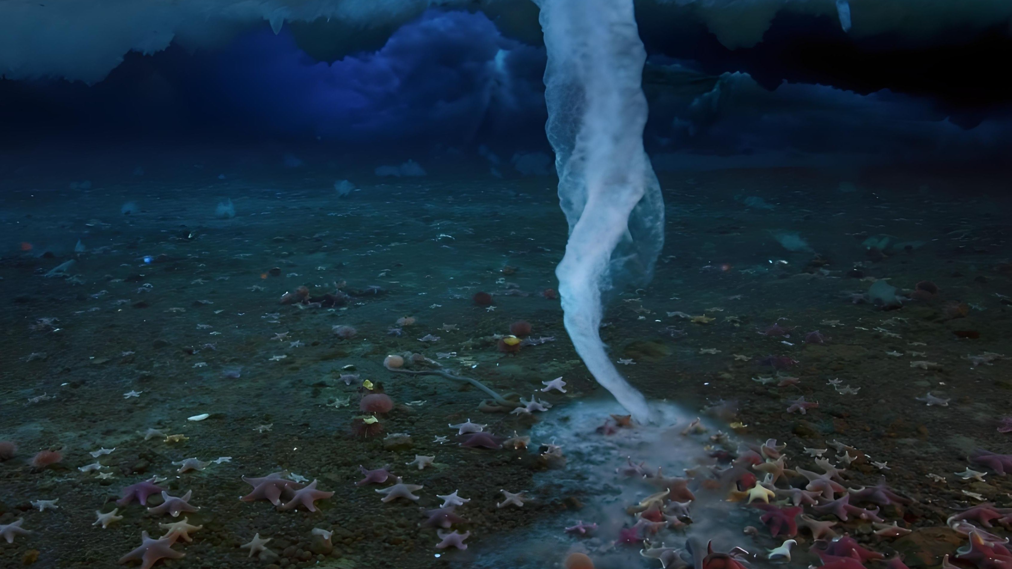 南极现死亡冰柱，大量生物死亡，这是为什么？...