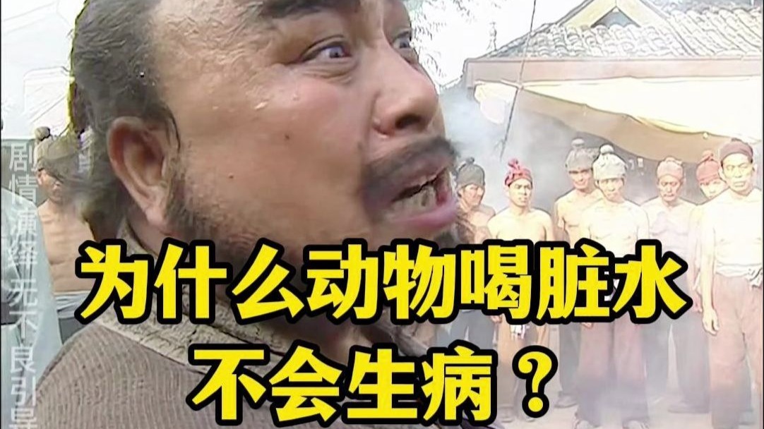为什么动物喝脏水不生病，而人类却那么容易生病？