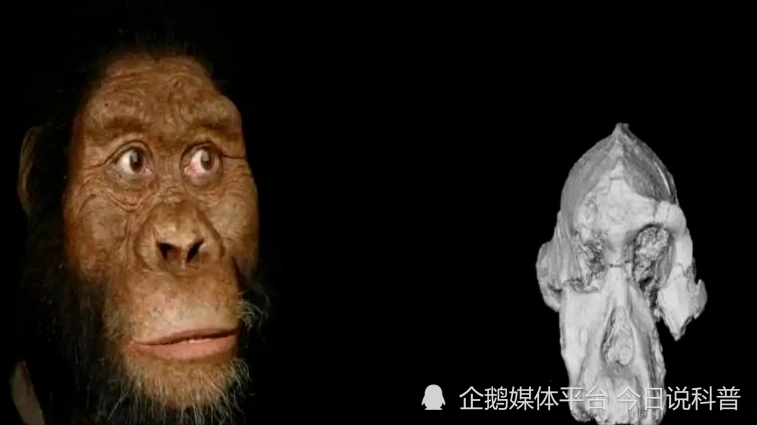 人类在历史上曾消失13万年，难道人类不是进化而来？...
