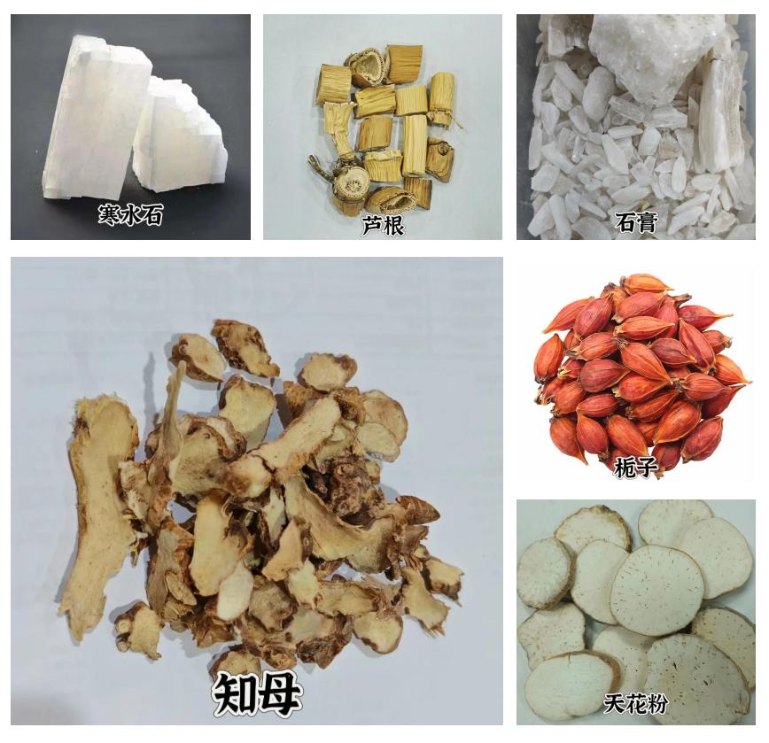 大火之后，超级“火药库”桉树开始复苏，澳大利亚将迎...