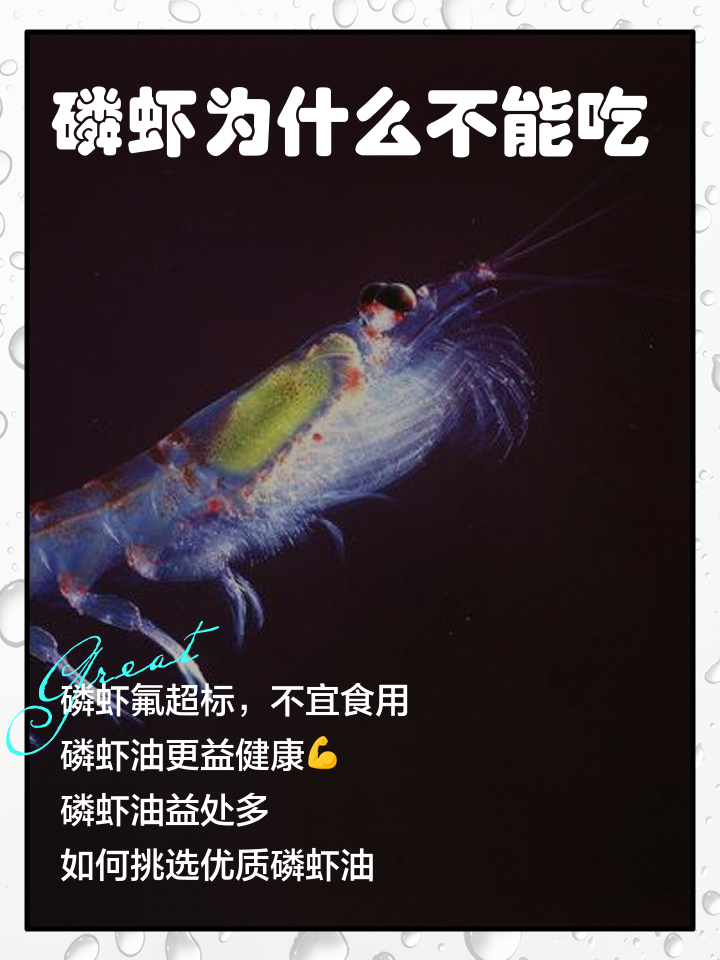 极磷虾每年被吃掉3亿吨，为何一直没有灭绝？...