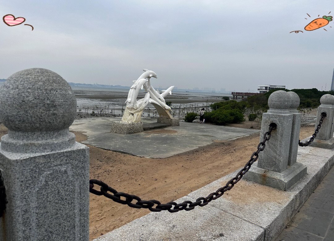 近日发生的重大事件,霞山区万达广场6栋美女真的有那么多吗？我来实地探访告诉你真实情况