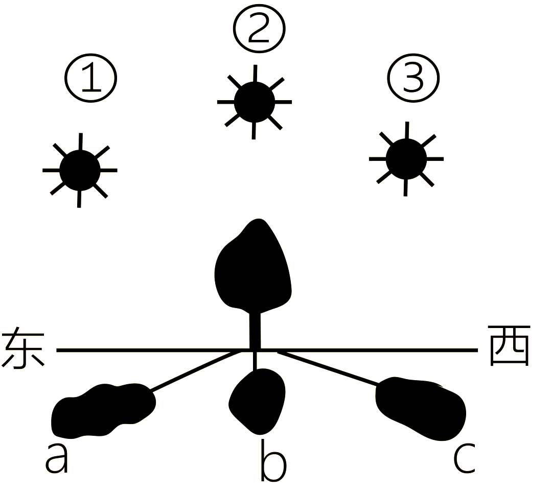火也是发光体，为什么还会形成阴影？...