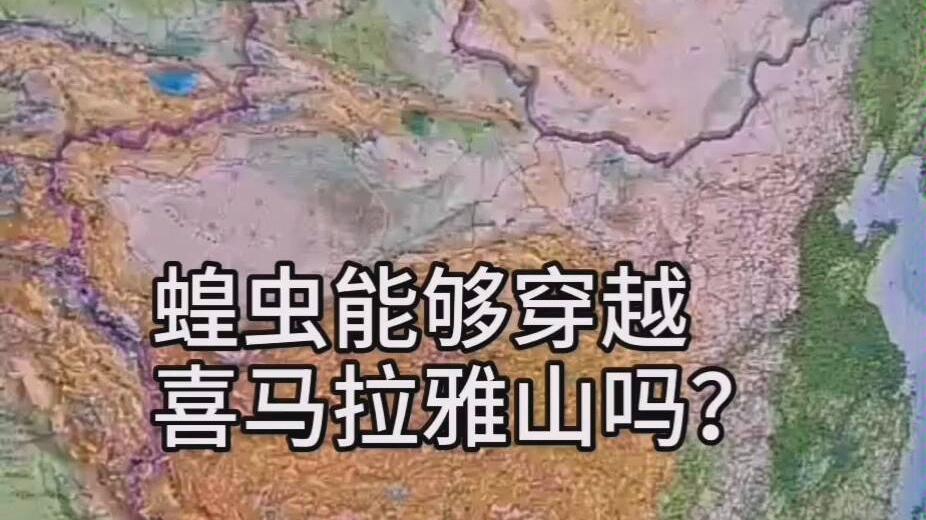 蝗虫已经从东非来到西亚，它们如何跨越近百公里宽的红...