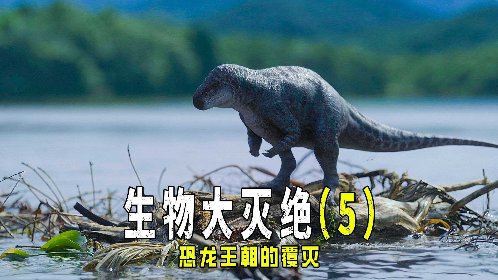 2020年地球怎么了？绝物种却频频重现，地球环境或...
