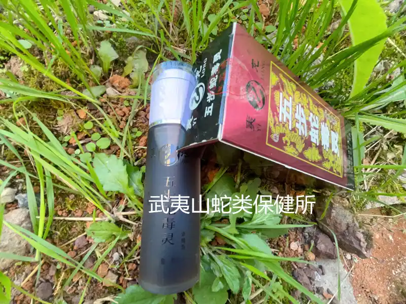 蛇真的会被风油精的味道吓跑吗？看完你就懂了！