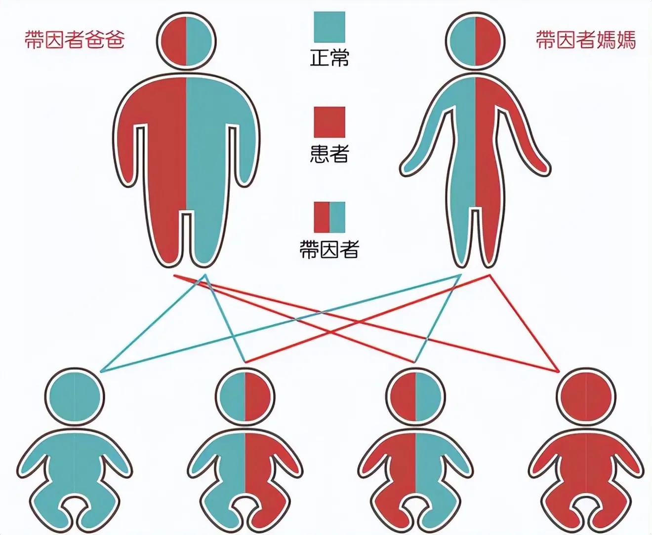 人类动物杂交伦理道德 人兽杂交为什么不行