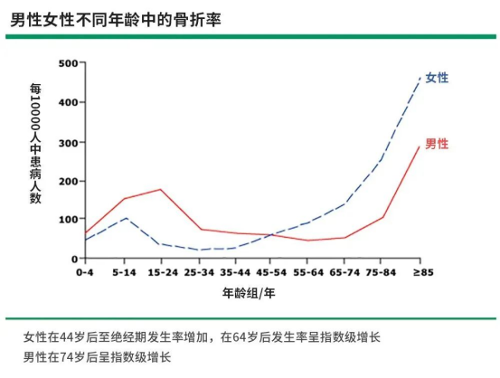 男人真的比女人少一块骨头吗？真相让人意想不到！