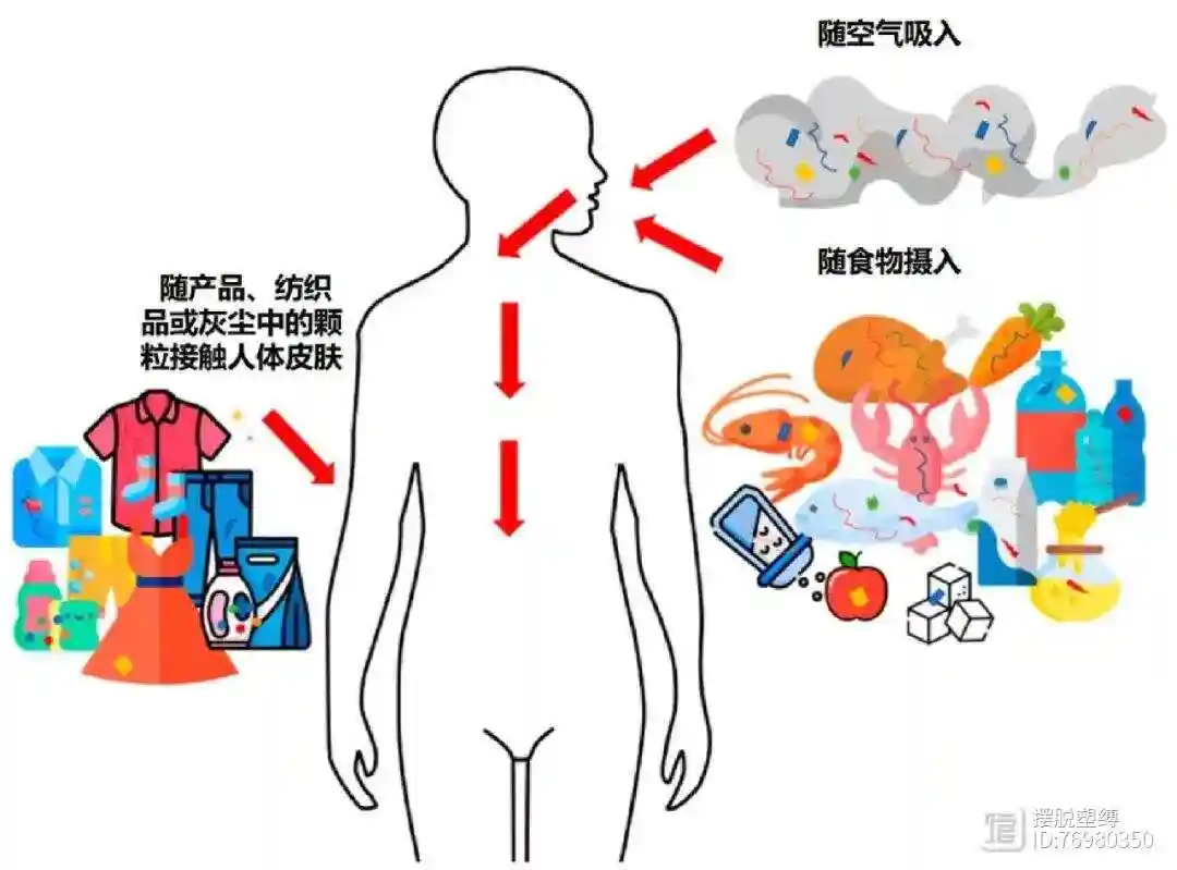 微塑料真有那么可怕吗？科学家为何首次在人类血液中发现微塑料？