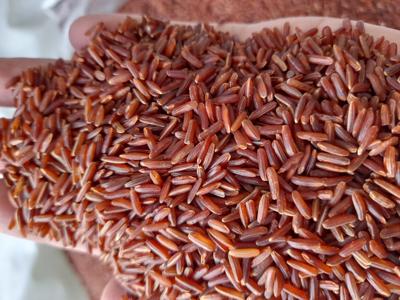 红米9值得入手吗 红米9手机优缺点分析