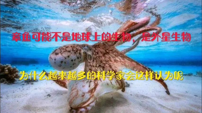 章鱼难道不是地球生物吗？...