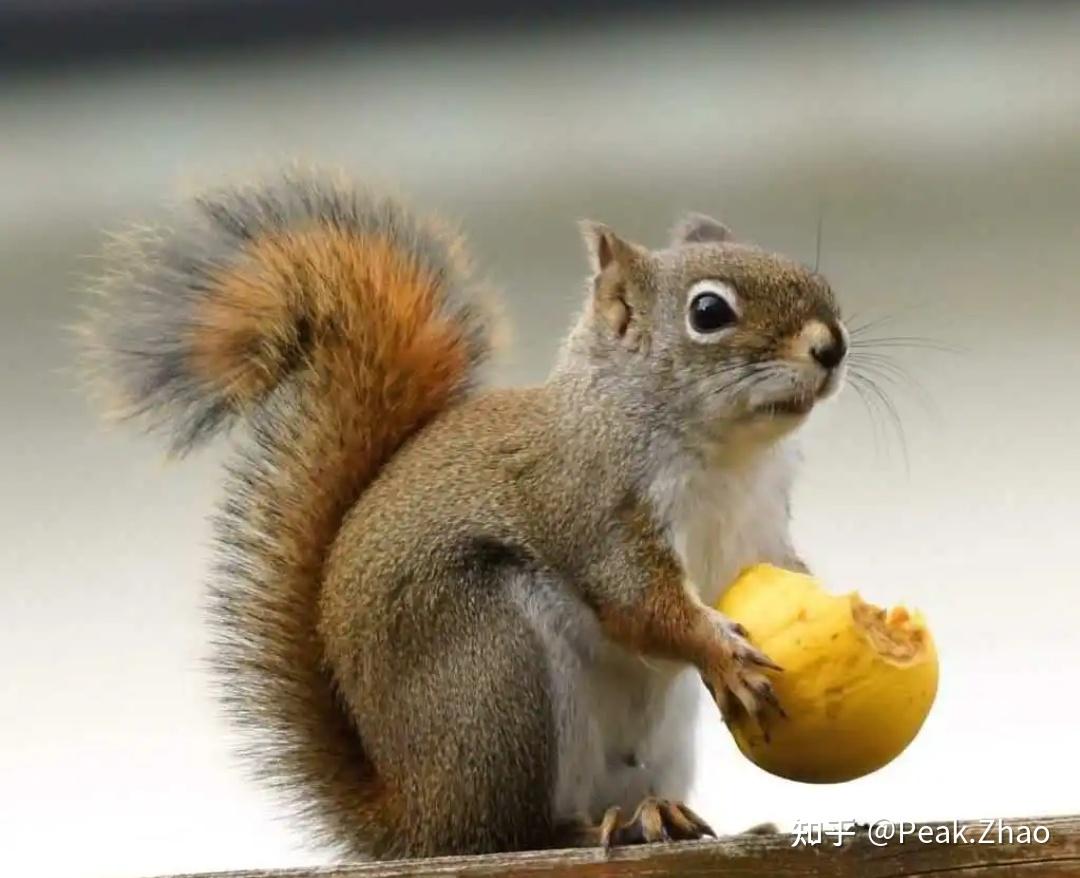 哈尔滨澜悦汇5楼大活全攻略：新手必看指南