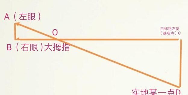 大拇指真的能测距离吗？这些秘密你知道吗？
