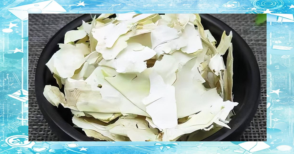 栖凤阁全国信息指南：从历史传说到现代功能全解析